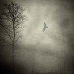 phototexture_thumb