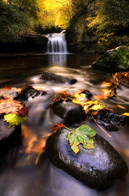 West Burton Falls - Beautiful and Colorful Autumn Leaves Photography