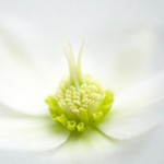 jacky_parker_thumb
