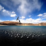 beautiful_landscape_best_thumb