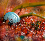 magdalena_wasiczek_thumb