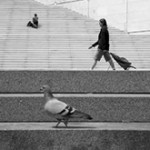 street_photographs_thumb