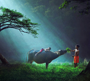 Dramatic Art Photography by Sukron Mamun which will leave you speechless ipoenk_graphic_thumb