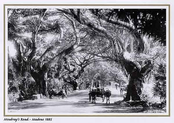 Mowbray's Road - Madras (Chennai) - 1885