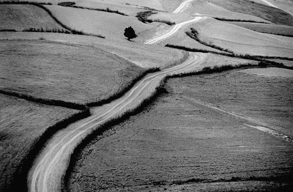Roads to Kiarostami