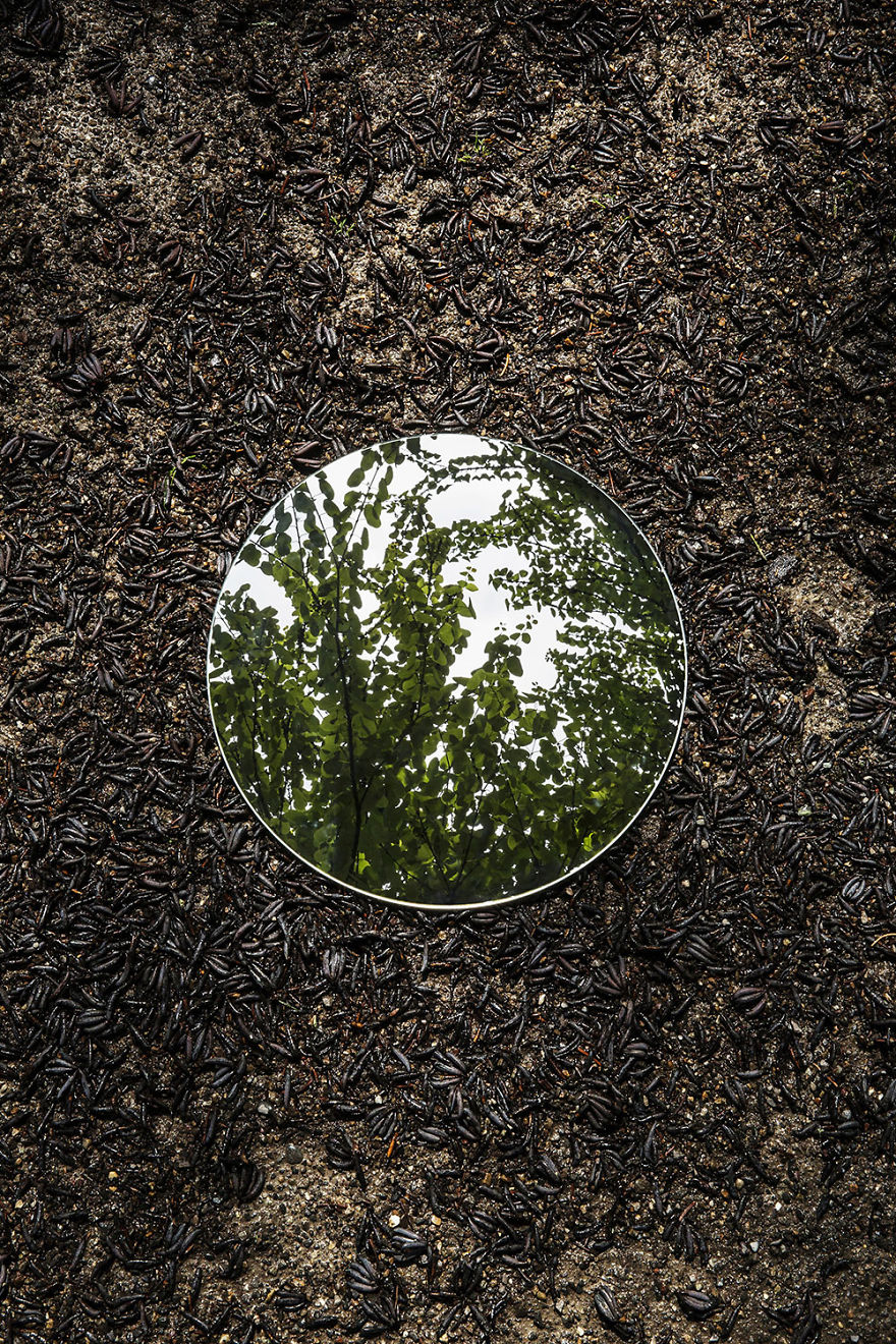 Photographer Sebastian Magnani Captured The Beauty Of Nature In Mirror