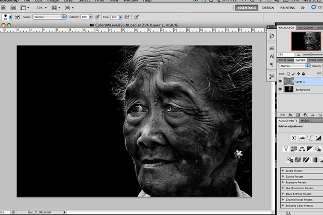 Black and White Photoshop Conversion Technique