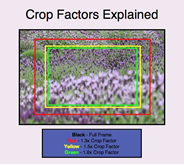 Full Frame Sensor vs Crop Sensor - Useful Basic Photography Articles for Beginners