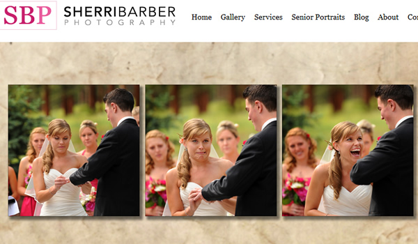 Sherri Barber Photography - The Best Photographer Portfolio Websites for Inspiration