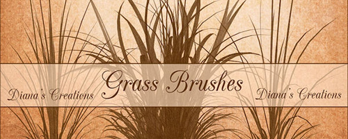 Photoshop High Resolution Grass Brushes