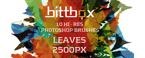 Free High-Res Photoshop Brushes – Leaves