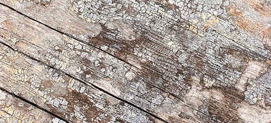 30 Beautiful Free Photography Textures