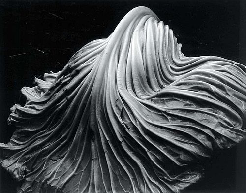 Edward Weston