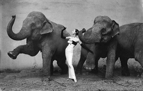 Richard Avedon