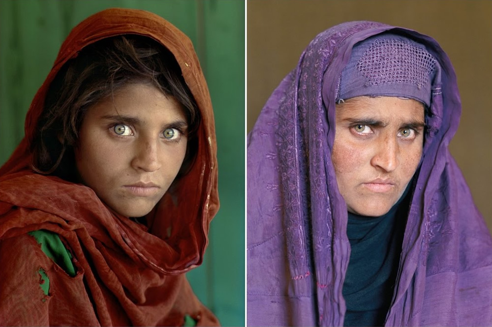 Search For The Afghan Girl A Life Revealed 1331