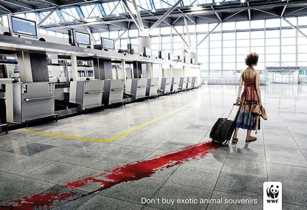 Don't buy exotic animal souvenirs