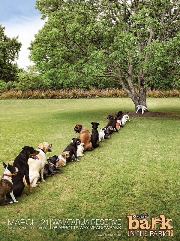 Purina Bark in the Park: Tree