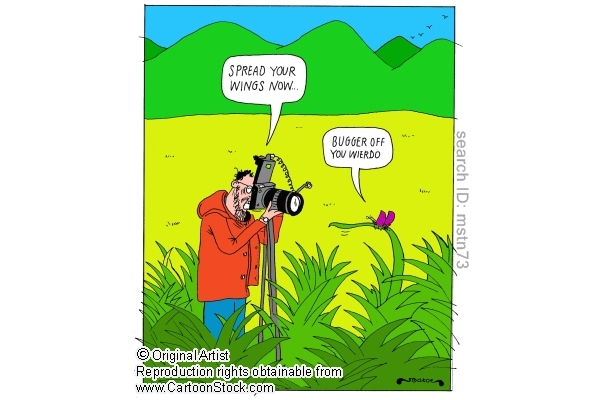 Funny Photography Comics and Cartoons