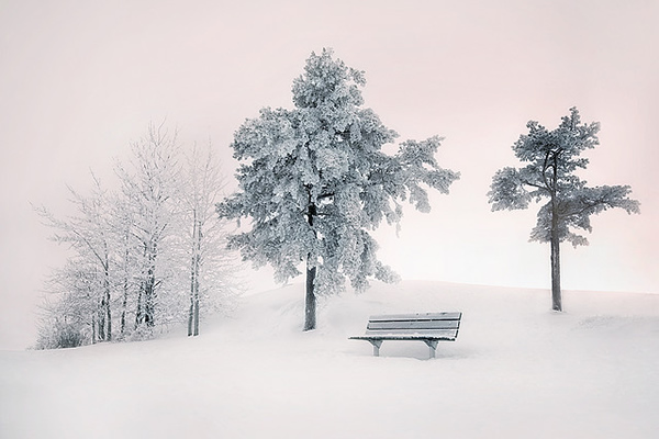 Showcase of the Week - Mikko Lagerstedt