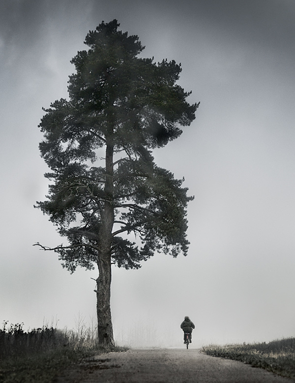 Showcase of the Week - Mikko Lagerstedt