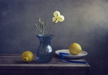 Still Life Photography Tips, Ideas and Tutorials