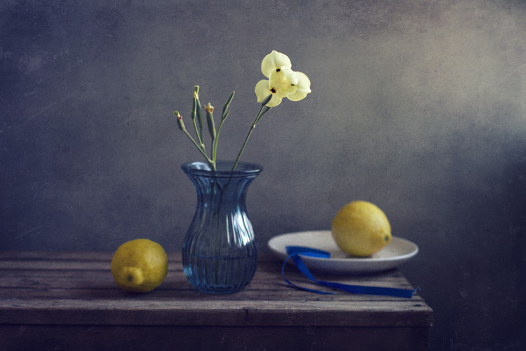 still life photography vase