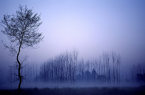 Morning in Meerut - Uttarpradesh, India
