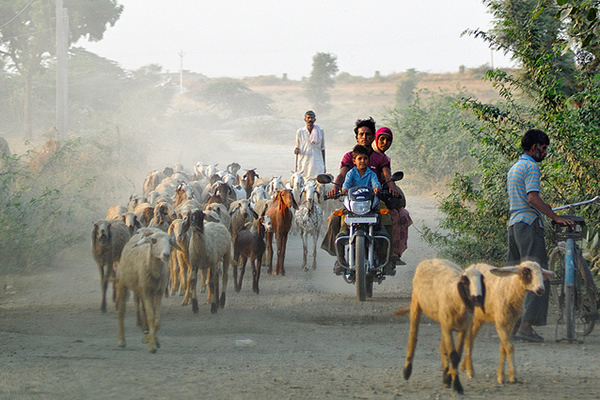 Going Home - Rajasthan, India