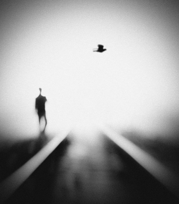 Showcase of the Week - Hengki Lee