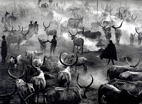 Sebastião Salgado - Inspiration from Masters of Photography