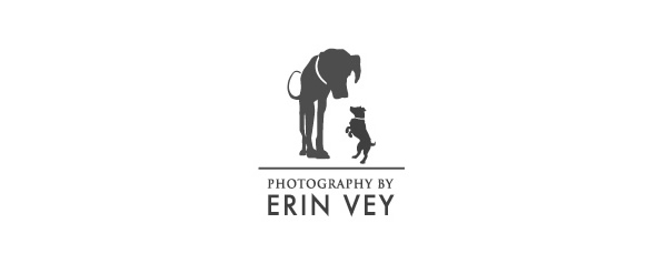 23) Inspiring Collection of Photography Logo Designs