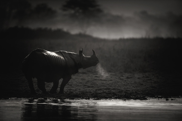 Interview with Nature & Wildlife Photographer Ganesh H. Shankar