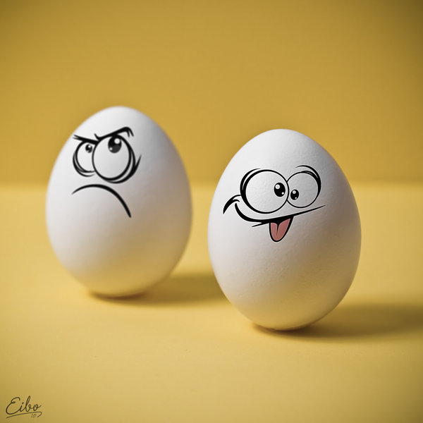 I Hate Eggs - Humorous Photography