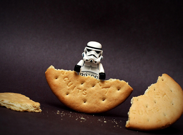 Cookie - Humorous Photography