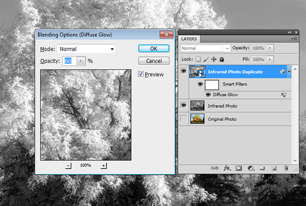 Creating an Infrared Photo Effect in Photoshop CS5