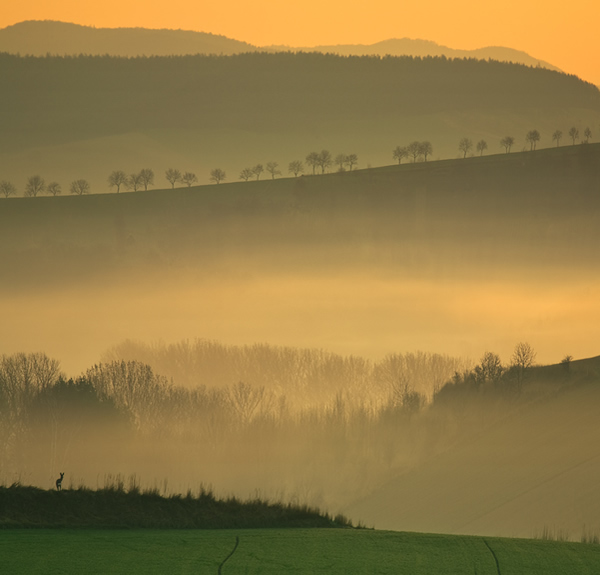 Interview with Landscape Photographer Krzysztof Browko