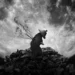 Photo Story - Sumeru by Nick Pedersen 71 Lone figure atop a rocky mound beneath a dramatic moonlit sky, black and white photo