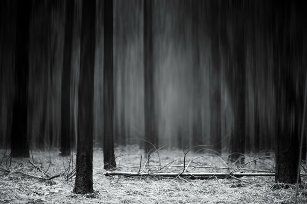 Showcase of Fineart Photographer Chris Friel