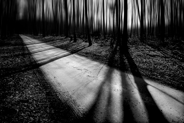 Showcase of Fineart Photographer Chris Friel