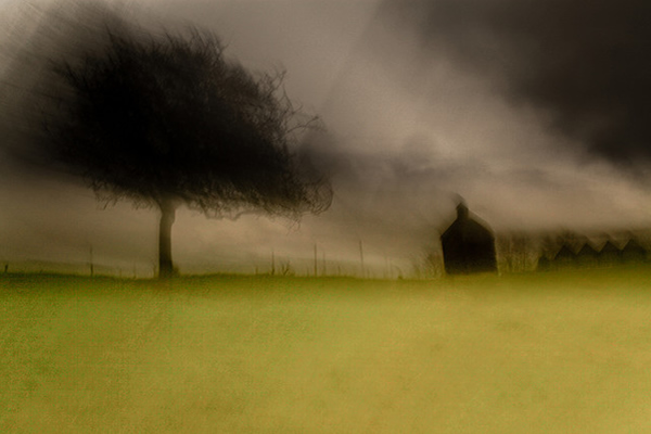 Chris Friel