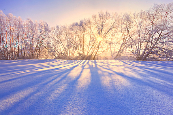 Palouse Winter Shadows