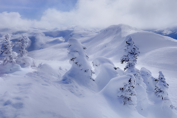 Garibaldi Provincial Park, BC_Gates Of Frozen Ghosts