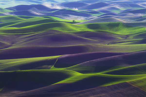 Palouse Springtime Velvet-Green