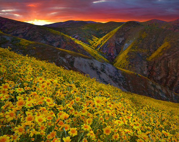 Carrizo Plain Canyon Sunset, California