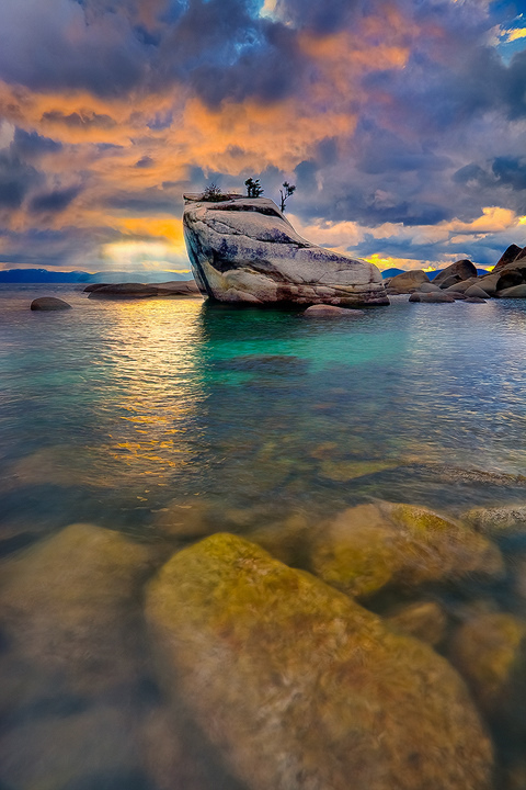 Bonsai Rock At Lake Tahoe