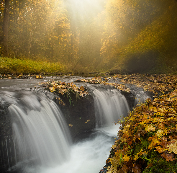 Silver Falls Glimpse Of Light