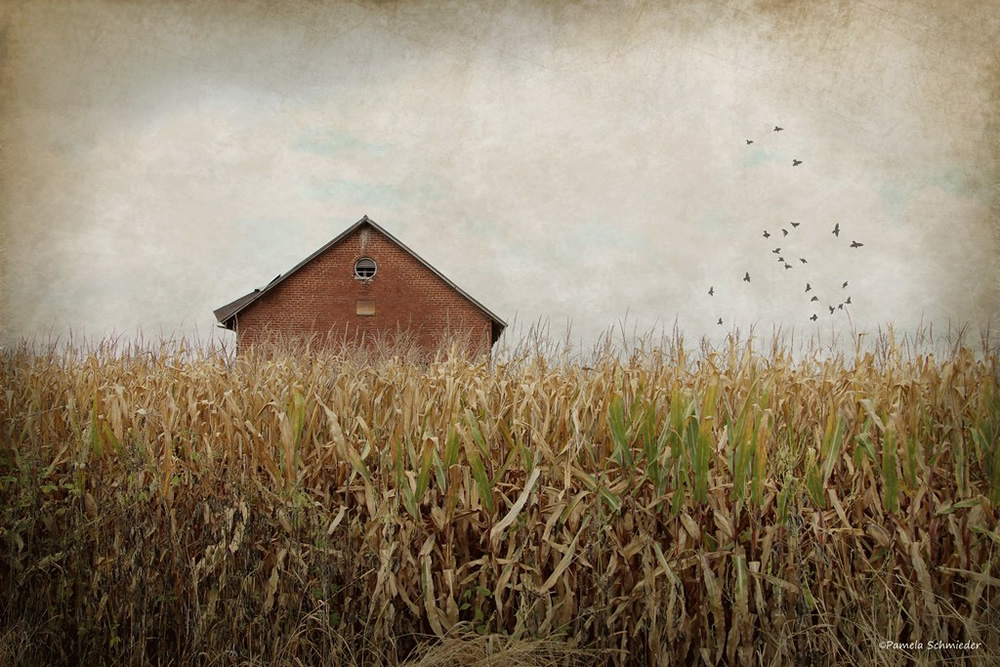 Creative And Inspiring Texture Photography By Pamela Schmieder