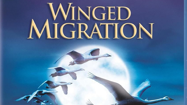Winged Migration (2001) 
