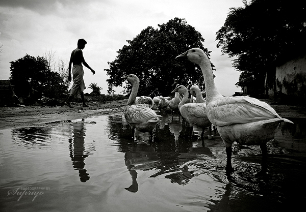 Street Photography by Supriyo Ranjan Sarkar