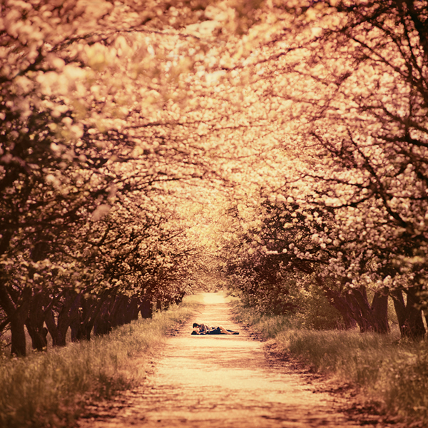 Fine Art Photography By Oleg Oprisco